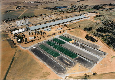 Co-operative Bulk Handling (CBH) Wheat Storage And Transfer Depot - New South Wales Tourism  0