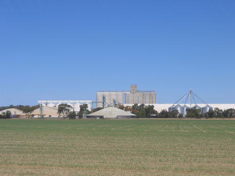 Co-operative Bulk Handling (CBH) Wheat Storage And Transfer Depot - New South Wales Tourism  1