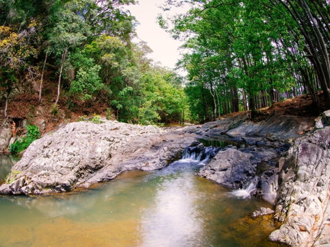 Currumbin Rock Pools - New South Wales Tourism  0