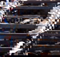 Dalby - New South Wales Tourism 