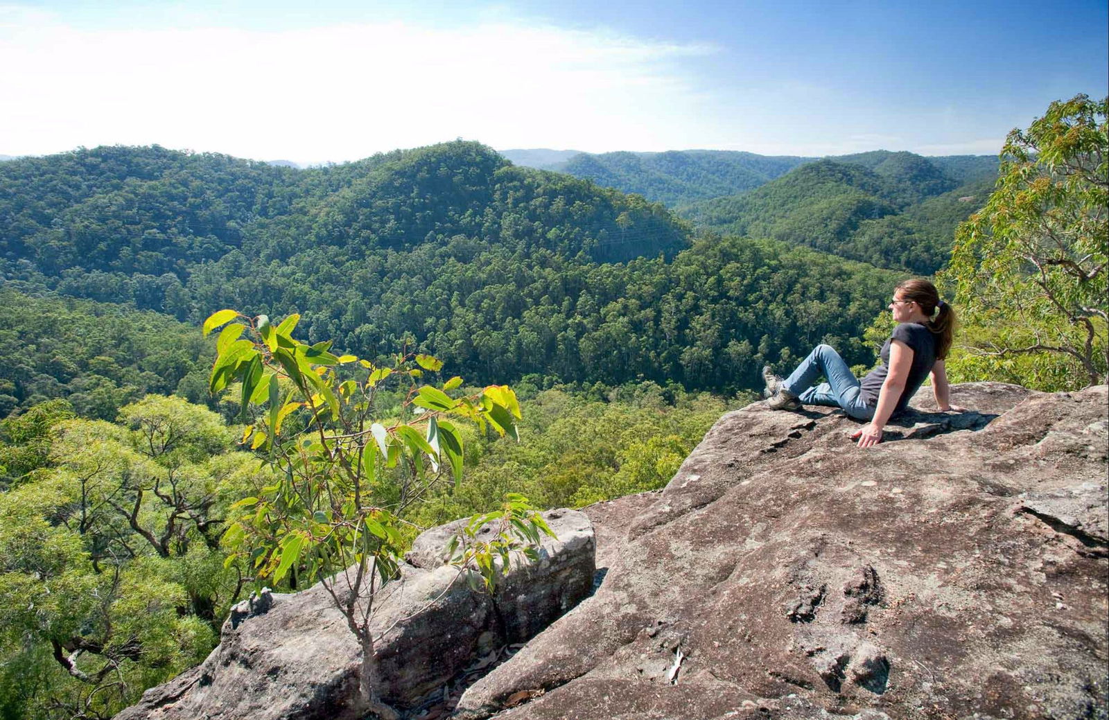  New South Wales Tourism 
