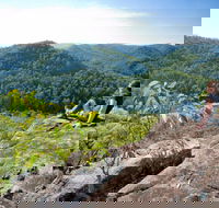 Dubbo Gully Loop Trail - New South Wales Tourism 