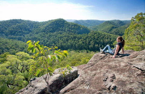 Dubbo Gully Loop Trail - New South Wales Tourism  0