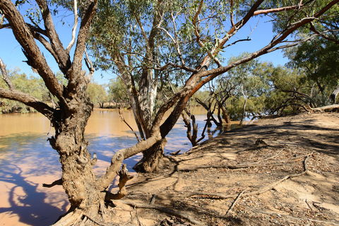 Eulo Five Mile Waterhole - New South Wales Tourism  0