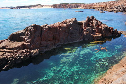 Eyre Peninsula - New South Wales Tourism  0