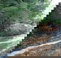 Finch Hatton - New South Wales Tourism 