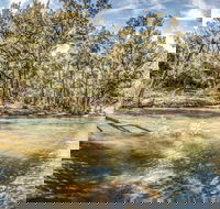 Flea Creek Picnic Area - New South Wales Tourism 