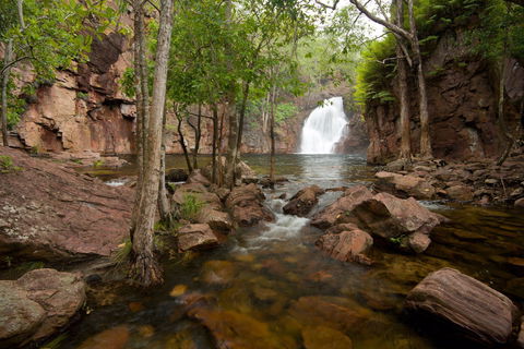 Florence Falls - New South Wales Tourism  0