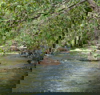 Florence Creek walk - New South Wales Tourism 