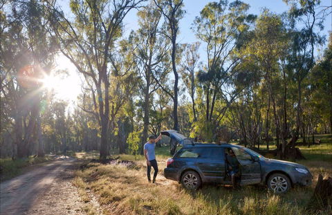 Forest Drive, Murrumbidgee Valley National Park - New South Wales Tourism  0