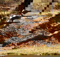 Freycinet Paintball and Campground - New South Wales Tourism 