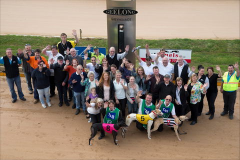 Geelong Greyhound Racing Club - The Beckley Centre - New South Wales Tourism  0