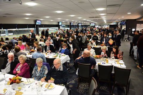 Geelong Greyhound Racing Club - The Beckley Centre - New South Wales Tourism  1