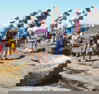 Gondwana Coast Fossil Walk - New South Wales Tourism 