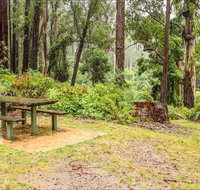 Goodenia Rainforest picnic area - New South Wales Tourism 