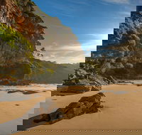 Greenglade picnic area - New South Wales Tourism 