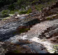 Halls Falls - New South Wales Tourism 