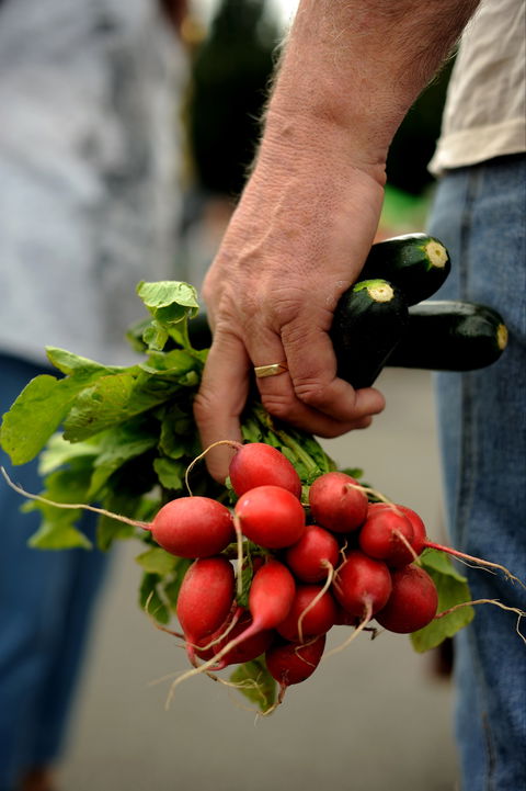 Harvest Launceston Community Farmers' Market - New South Wales Tourism  1