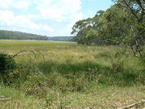 Hume And Hovell Walking Track - New South Wales Tourism  2