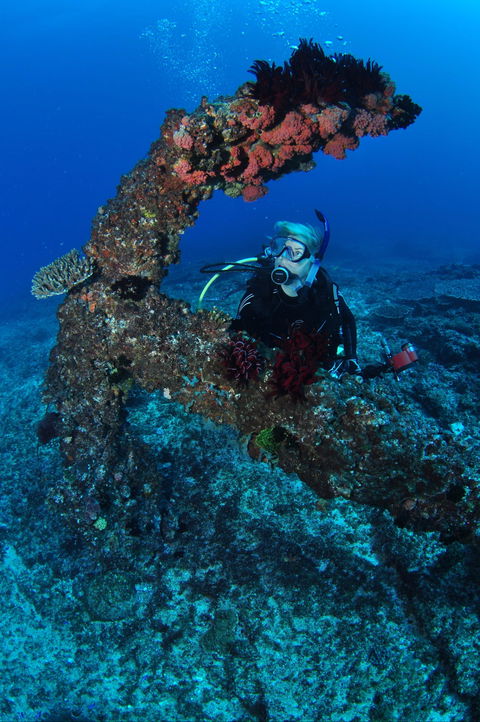 Hutchinson Shoal Dive Site - New South Wales Tourism  1
