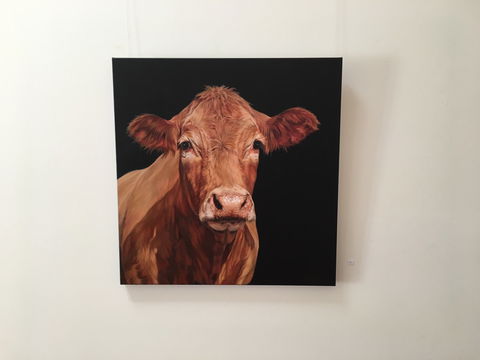 Ivy Hill Gallery - New South Wales Tourism  2
