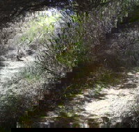 Jack And Hilda McArthur Walk - New South Wales Tourism 