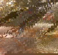 Kholo Gardens Trails - New South Wales Tourism 