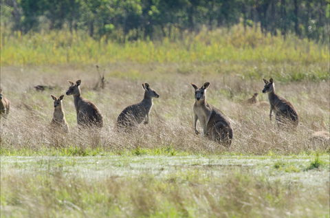 Kosciuszko National Park - New South Wales Tourism  2