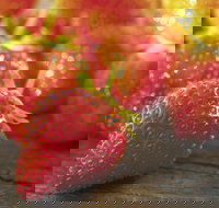 Lambs Valley - New South Wales Tourism 