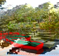 Lane Cove National Park - New South Wales Tourism 