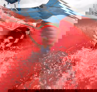 Maitland Aquatic Centre - New South Wales Tourism 