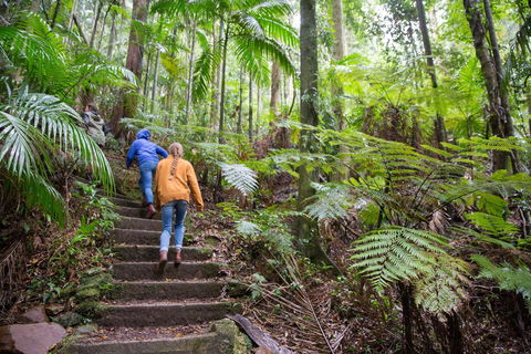 Maiala - New South Wales Tourism  1