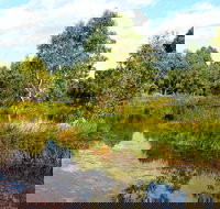 Mansfield Mullum Wetlands - New South Wales Tourism 