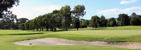 Mansfield Golf Club - New South Wales Tourism  0