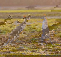 Mary River Area - New South Wales Tourism 