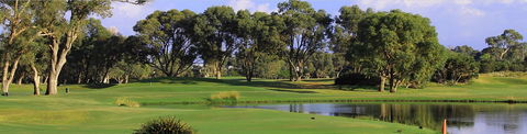 Meadow Springs Golf And Country Club - New South Wales Tourism  0
