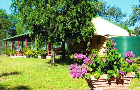 Miners Heritage Walk-In Mine - New South Wales Tourism  0