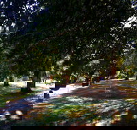 Mirimbah Park - New South Wales Tourism 