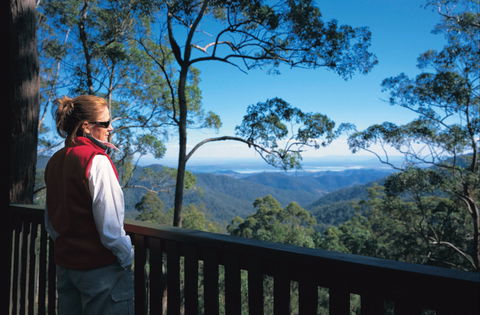 Mount Glorious - New South Wales Tourism  1