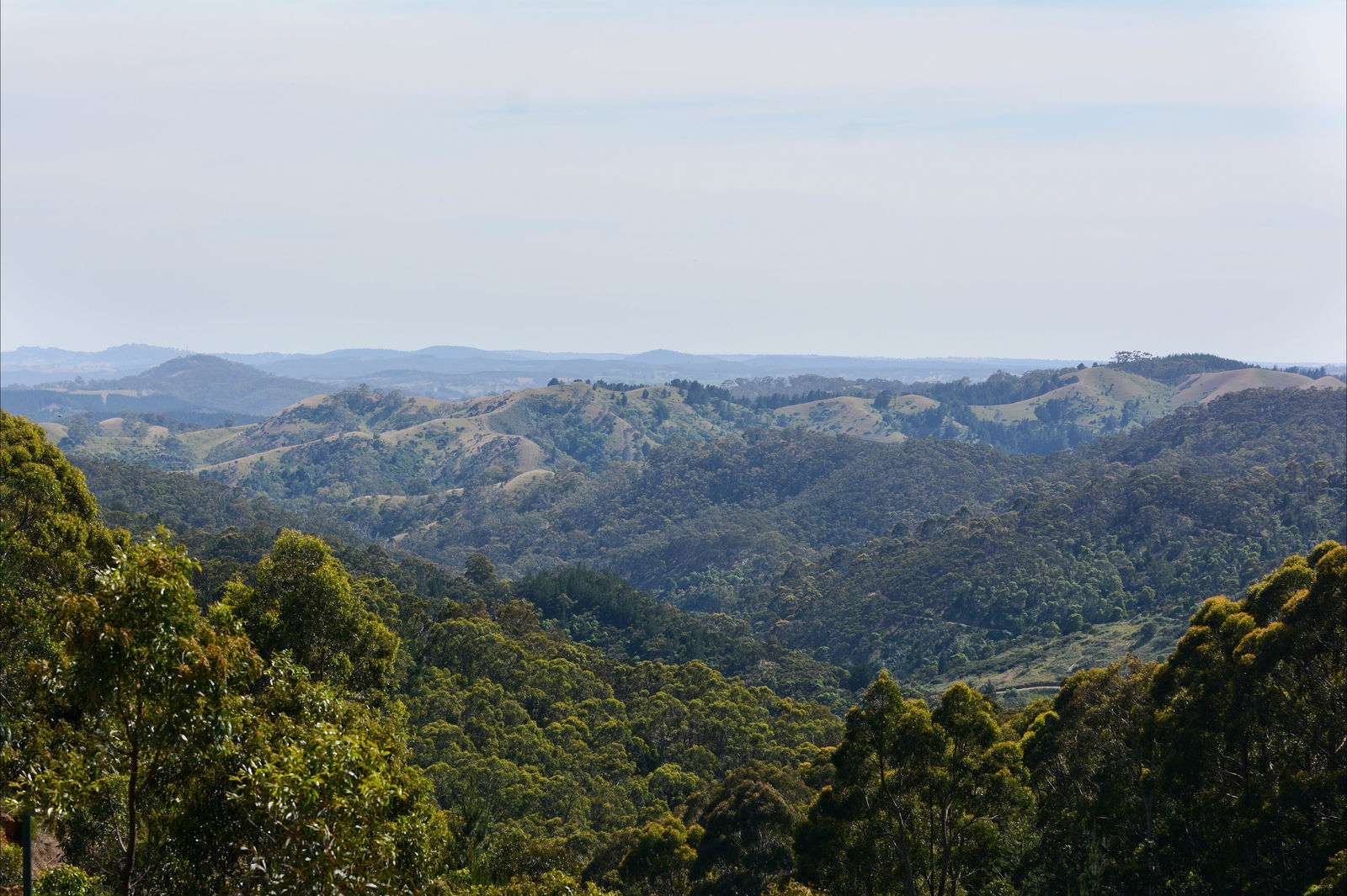 Mount Crawford SA New South Wales Tourism 