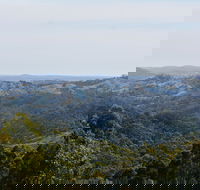Mount Crawford Forest Reserve - New South Wales Tourism 