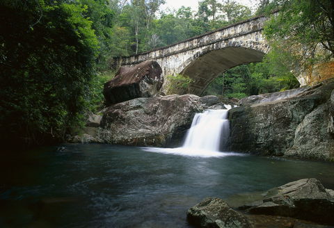 Mount Spec, Paluma Range National Park - New South Wales Tourism  0