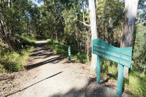 Mt Coot-tha Tourist Drive - New South Wales Tourism  0