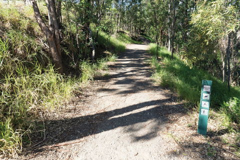 Mt Coot-tha Tourist Drive - New South Wales Tourism  2