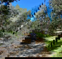Mt Everard Circuit - New South Wales Tourism 