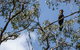 Mummel Gulf National Park - thumb 0
