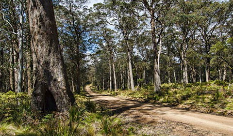 Mummel Gulf National Park - New South Wales Tourism  1