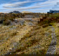 Murramarang Aboriginal Area Walking Track - New South Wales Tourism 