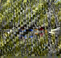 Murray River canoe trails - New South Wales Tourism 