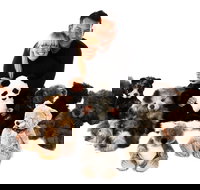 Nanas Teddies and Toys - New South Wales Tourism 